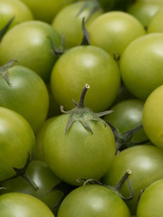 ミニトマト　あまえぎみ