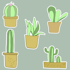 Cactus sticker in flowerpots, set, vector illustration