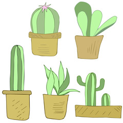 Hand-drawn vector gentle cactus in flowerpots