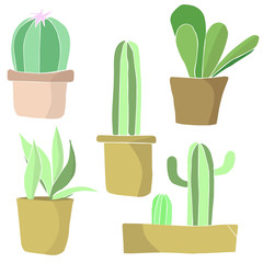 Flat cactus design, vector illustration, green growing in a flowerpot