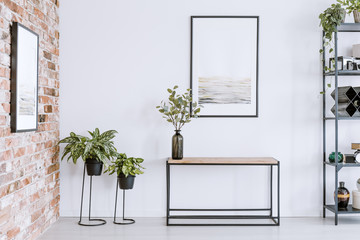 Home plants and table - obrazy, fototapety, plakaty