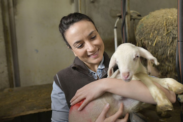 Farmer woman carrying lamb in arms