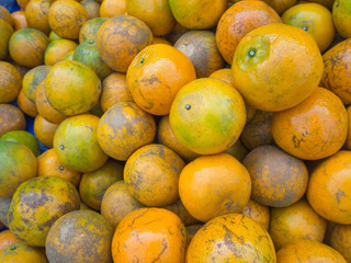Orange fruit for sale in the market.
