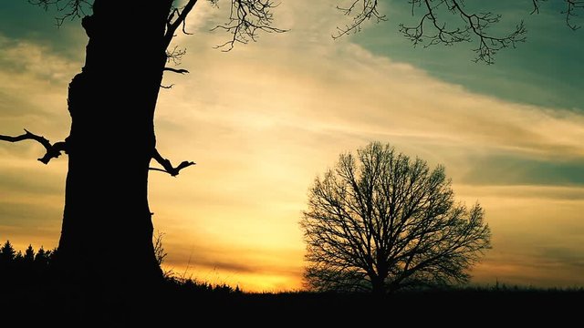 At sunset there is a grim Reaper