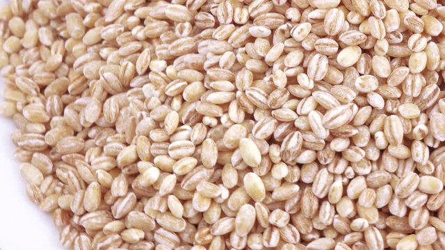 Pearl barley with pests