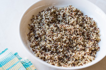 Quinoa Bulgur Chia Food Mix in Bowl / High Protein Fiber Food.