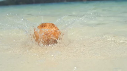 Foto op Canvas CLOSE UP: Wet hairy coconut falls onto white sandy beach near beautiful ocean © helivideo