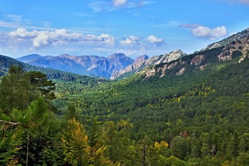 Fototapeta na wymiar Corsica-view from road near pass Col de Vergio