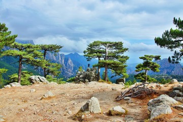 Fototapeta premium Corsica-outlook from pass Col de Bavella