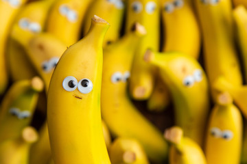 funny pack of bananas with eyes