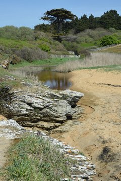 C&ocirc;te sauvage, entre Pr&eacute;failles et Pornic, west of France