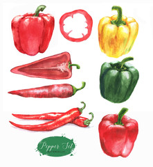 Ręcznie rysowane akwarela ilustracja różnych papryki - papryka chili i słodka papryka czerwona, zielona i żółta. Rysować odizolowywam na białym tle. - 202156784