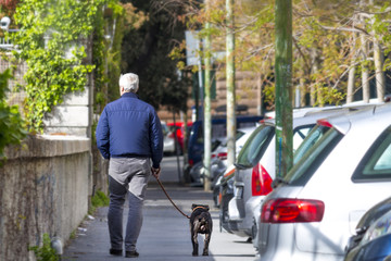 a man takes his dog for a ride