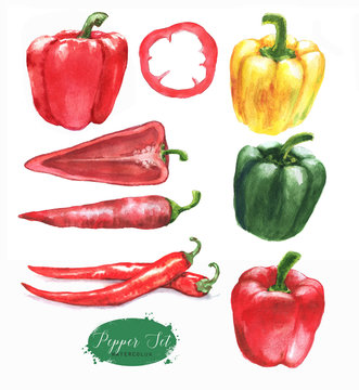 Hand-drawn watercolor illustration of the different peppers - chili pepper and sweet red, green and yellow pepper. Drawing isolated on the white background.