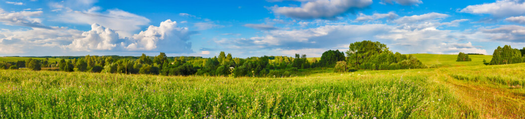 Rural landscape. Panorama