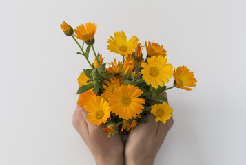 orange flowers and red heart on the white background for mother's day.The best gift is love.