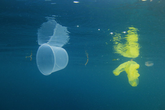 Plastic cups and bags pollution in ocean