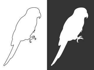 White silhouette and line parrots vector