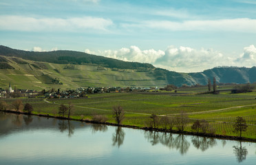 Fototapeta na wymiar Moselle Landscape at Piesport vineyards spring Landscape
