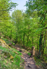 The Palatinate Forest in spring. Germany