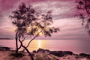 Obraz premium Sunny sunset on the coast of Mallorca