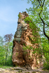 Fototapeta na wymiar Sandstone rock in the Palatinate Forest. Germany