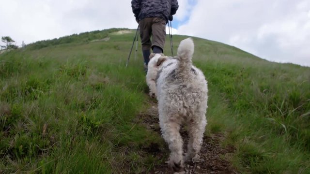 Young people with gogs Fox terrier hiking in mountains, travel, fitness or adventure concept outdoors in nature filmed with steadicam