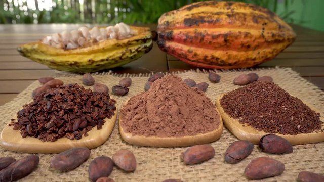 Coffee beans, cacao nibs, cocoa powder, raw cocoa fruit, cacao beans on burlap
