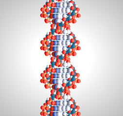 3d vector dna molecule structure