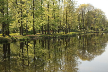 Fototapeta na wymiar Frühling im Park (Schloßpark Jüterbog)