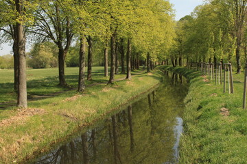 Frühlingstag (Wilhelm-Kempff-Weg in Jüterbog)