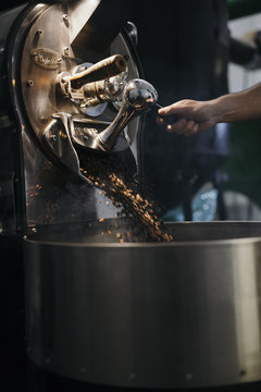 Freshly roasted coffee beans pouring from commercial roaster into cooling bin