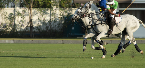 Horse Polo Player battle in match.