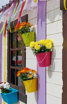 Colorful chrysanthemums in flowerpots hanging on facade of building