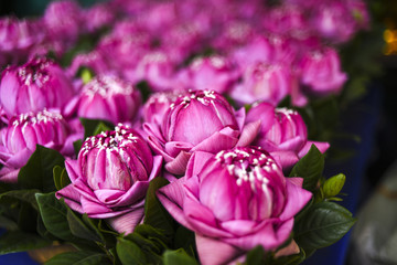 Fototapeta na wymiar Buds of pink peonies in a bouquet at a flower market