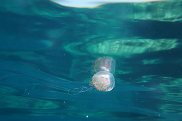 Fornells - Menorca - Baleares Islands - Spain