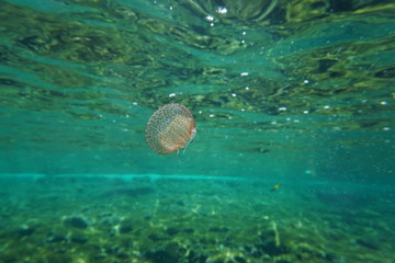 Fornells - Menorca - Baleares Islands - Spain