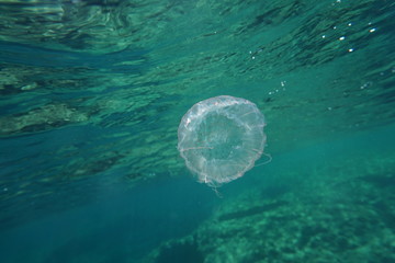 Fornells - Menorca - Baleares Islands - Spain