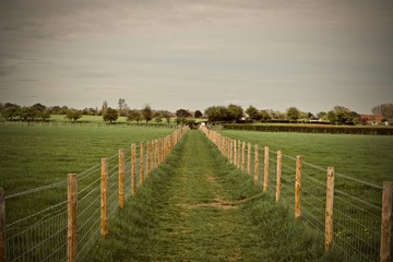 Landscape view on fields