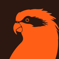  parrot  head   vector illustration flat style profile side