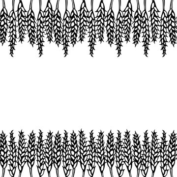 Ripe Wheat Spikelets Endless Brush. Border Ribbon of Malt with Space for Text. Farm Harvest Template. Realistic Hand Drawn Illustration. Savoyar Doodle Style. © Nika Novikova