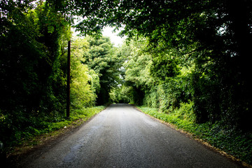 Road in Ireland