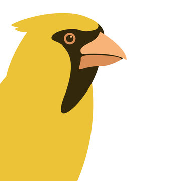 bird cardinal head   vector illustration flat style profile