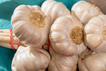 French garlic braid close up on blue wooden table