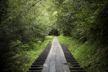 Obraz premium Juneau, Alaska