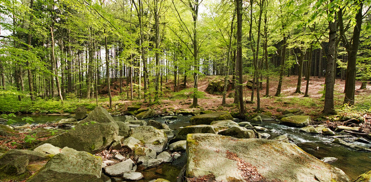 Neusalza Spremberg Spree in saxon in spring