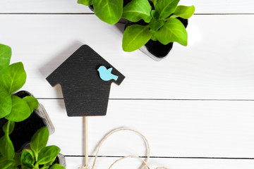 Topper in the form of house with young sprouts, shoot, seedling, sapling in a wooden box. Flat lay with copy space