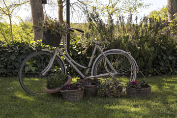 decorative bicycle by the lake . spring flowers .