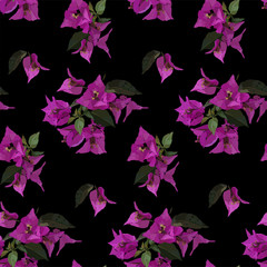 Fototapeta na wymiar Pink bougainvillea seamless pattern. Botanical illustration hand drawn. Vector floral design for fashion prints, scrapbook, wrapping paper.