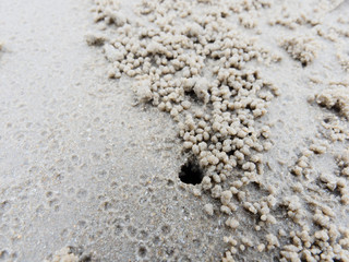 Burrow or hole with sediment balls or pellets made by sand where food was digested by ghost or sand crab show natural abstract form and texture.